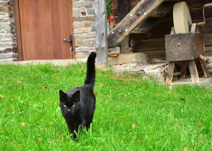 Feldkasten Biohof Lurger Lantgård Breitenbrunn (Styria)